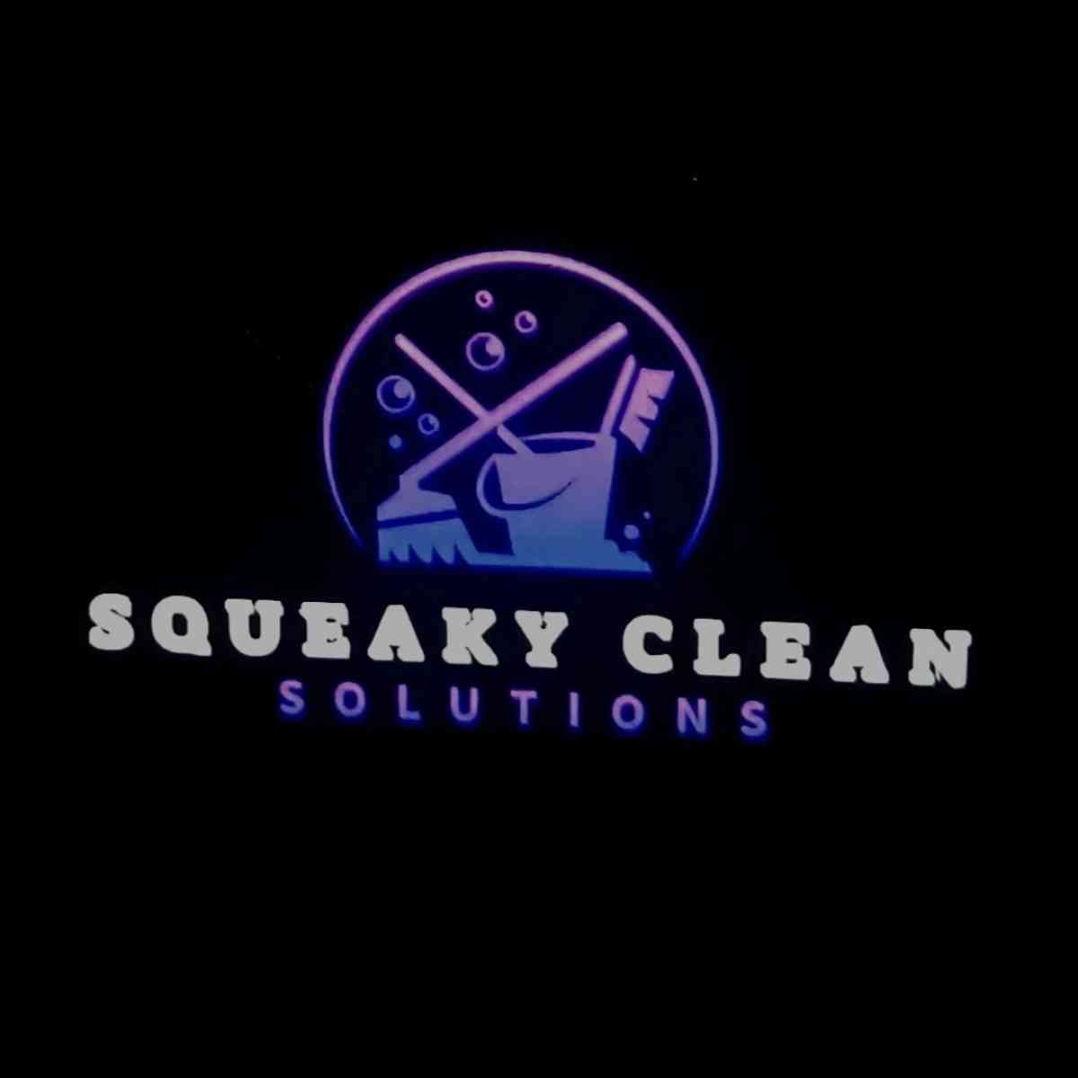 Squeaky Clean Solutions