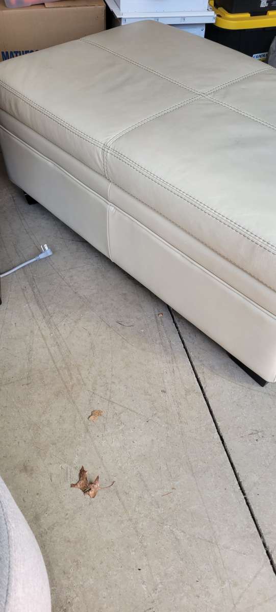 Sleeper sofa and ottoman