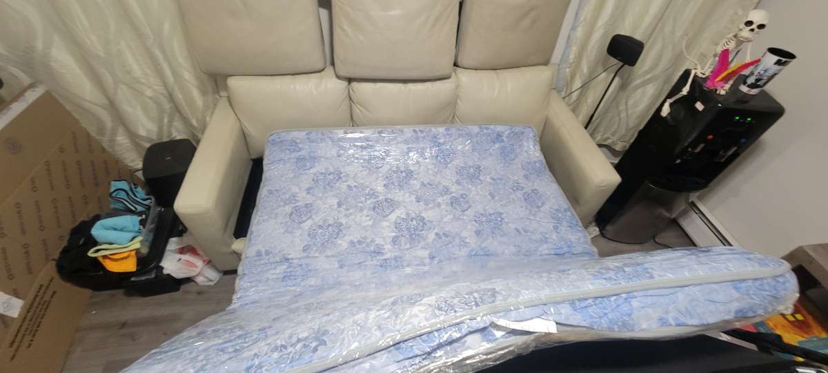 Sleeper sofa and ottoman