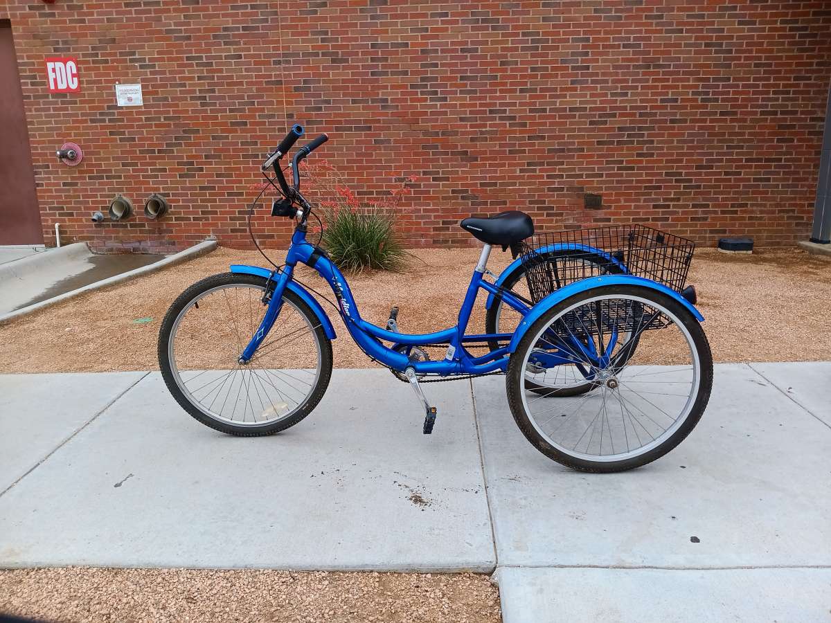 Schwinn Meridian Trike
