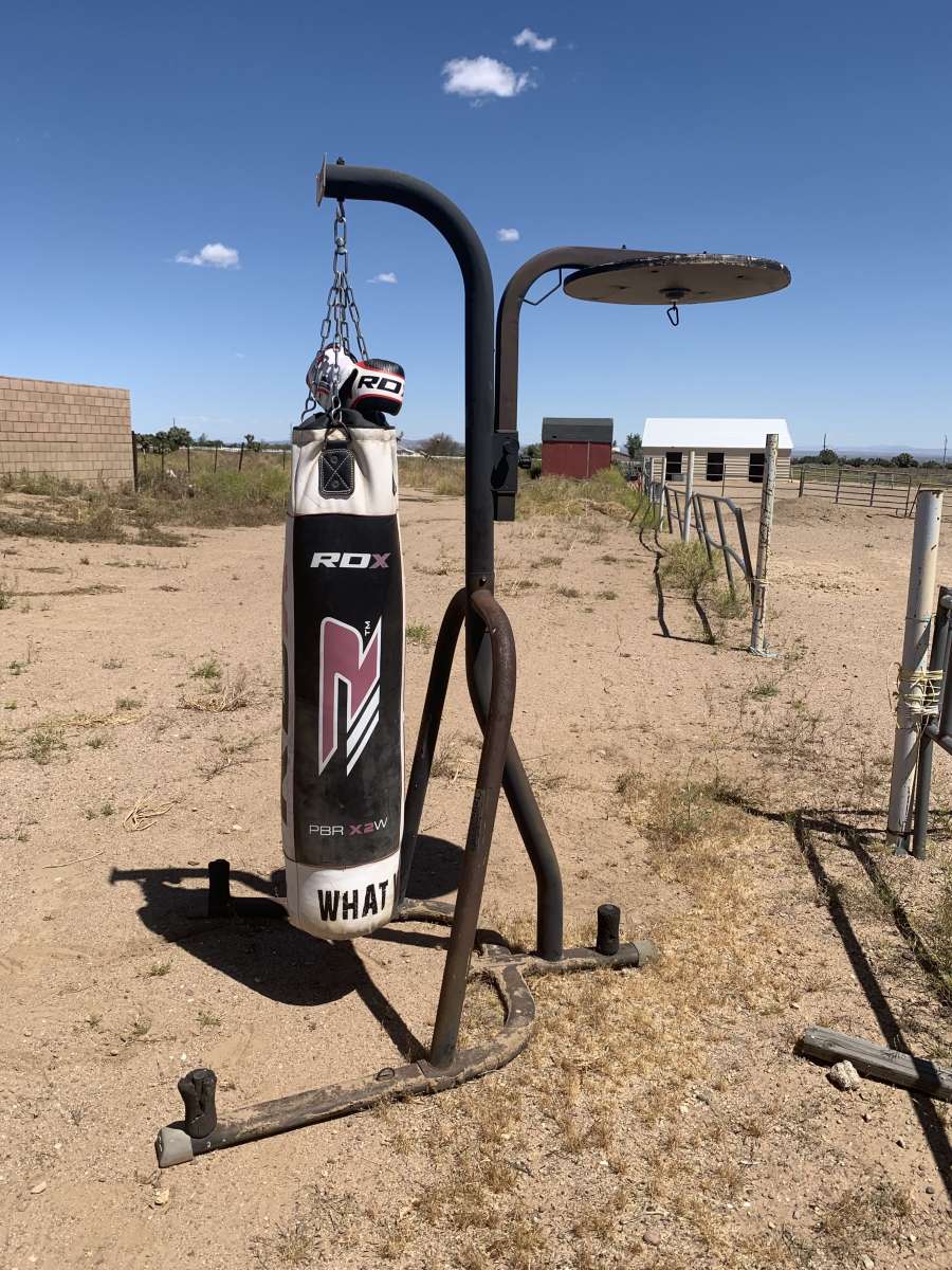 Everlast punching bag stand with punching bag set