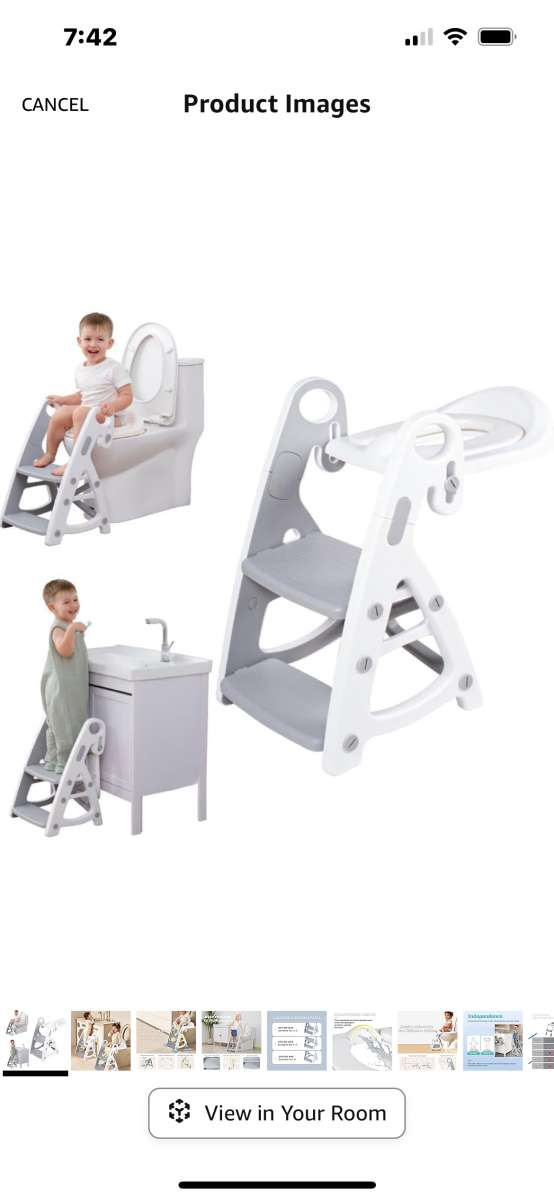 potty seat