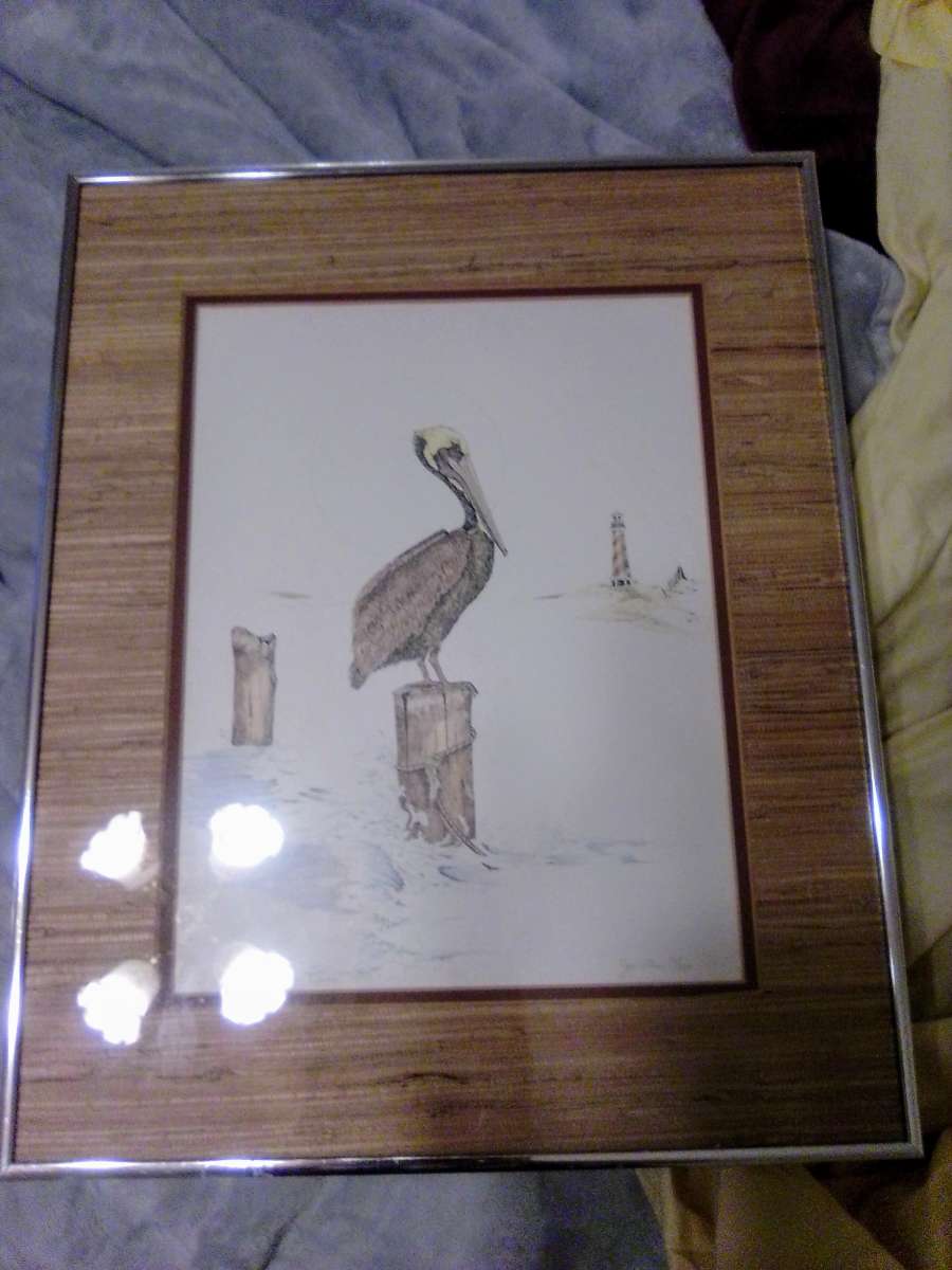 Pelican Signed  Framed Print