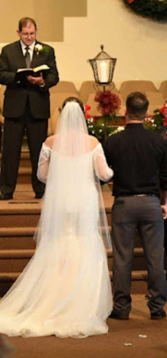 Davids Bridal Wedding Gown