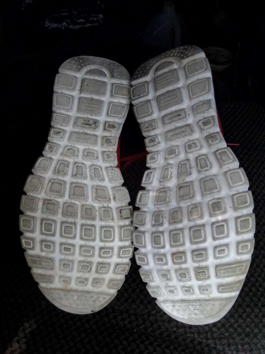 Womens  Skechers sneakers