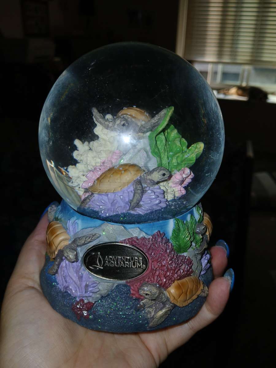 snow globe