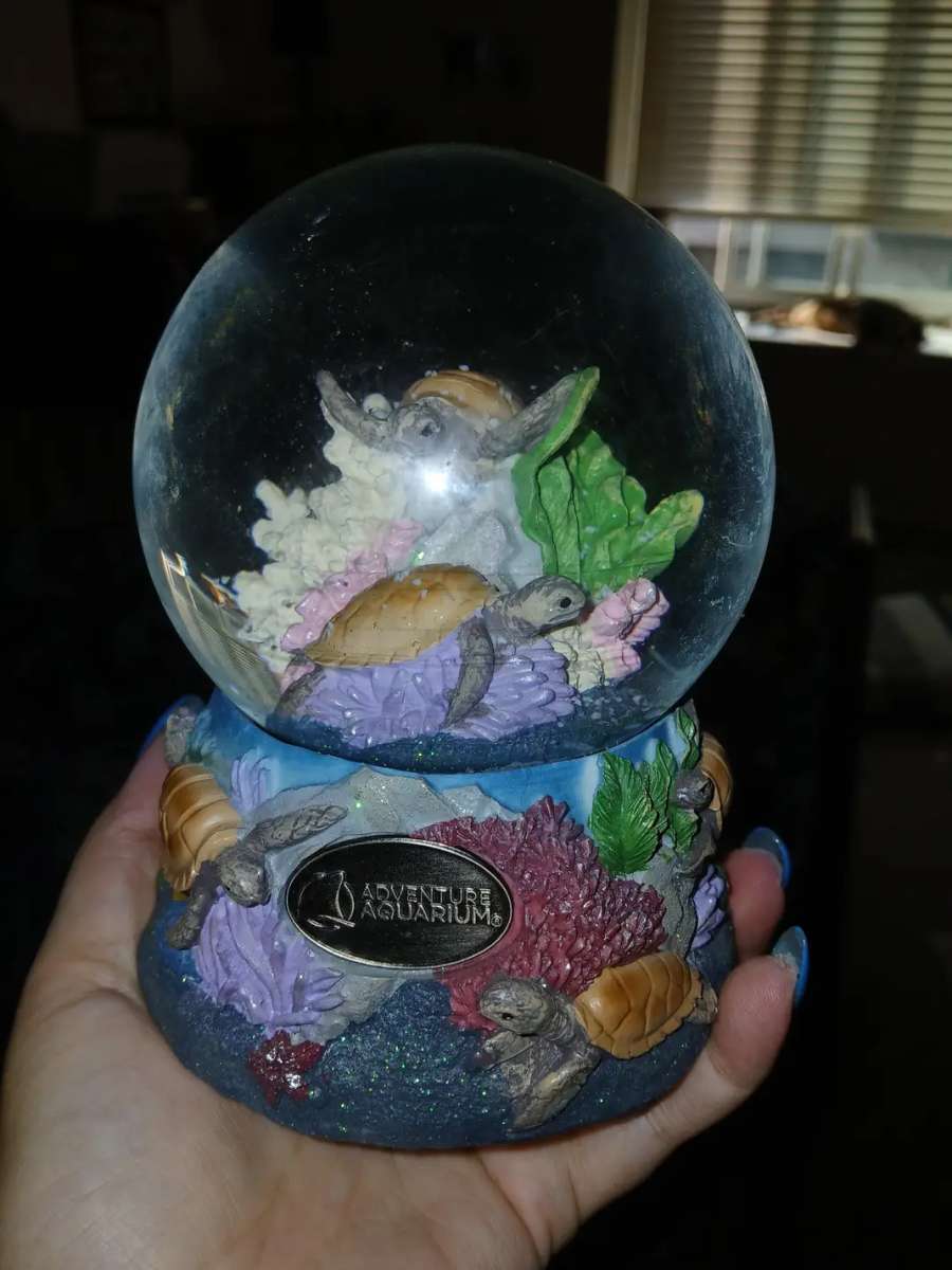 snow globe