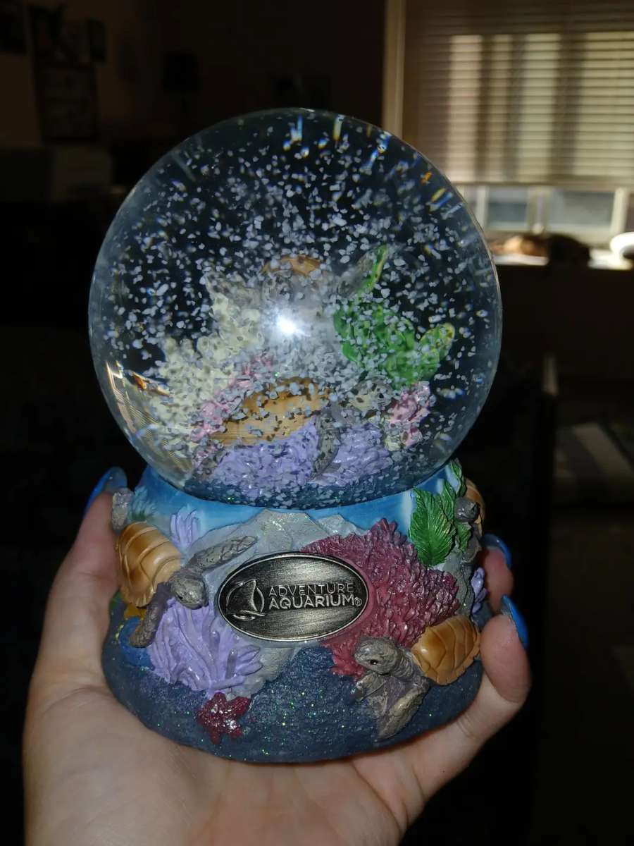 snow globe