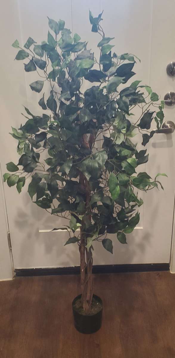 4 12 ft Artificial Fake Ficus Tree