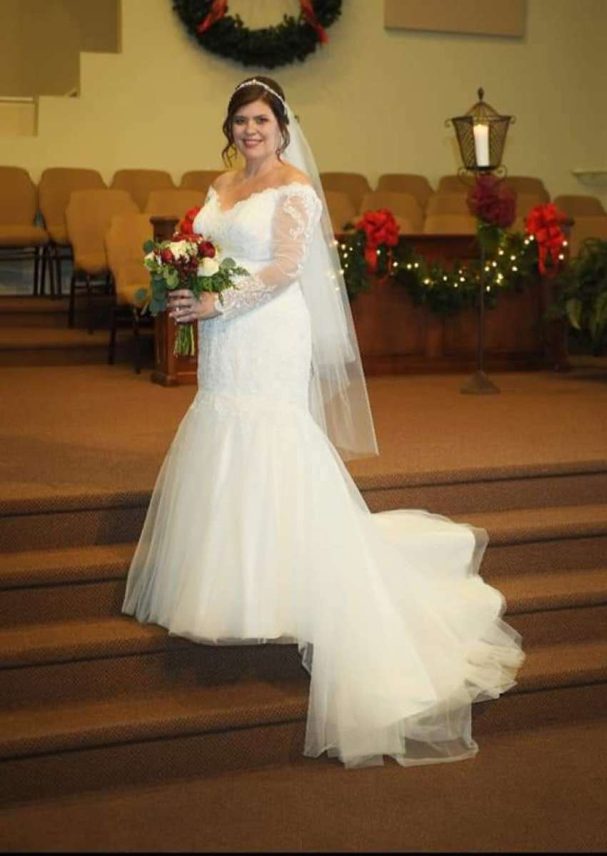 Davids Bridal Wedding Gown