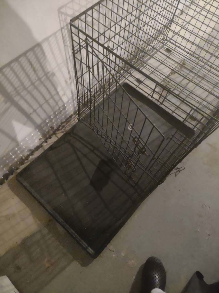 dog cage