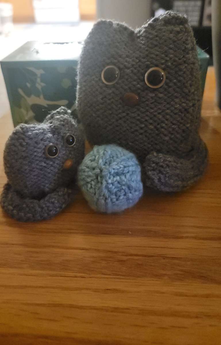 cute handmade Knitted kitty Family