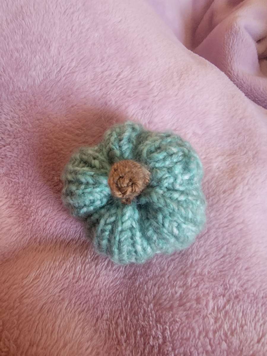 Knitted Mini Pumpkin