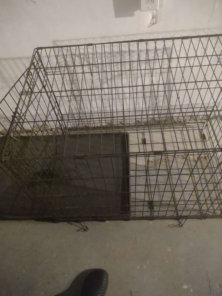 dog cage