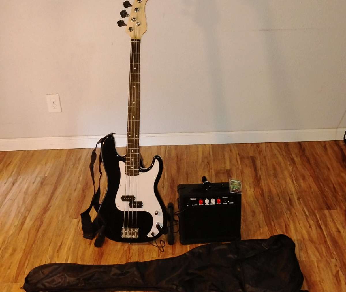 Bass Guitar Stand Amp Picks