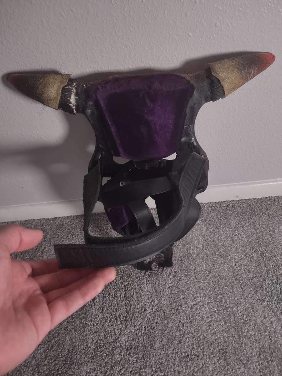 Painted Animal Skull Masks