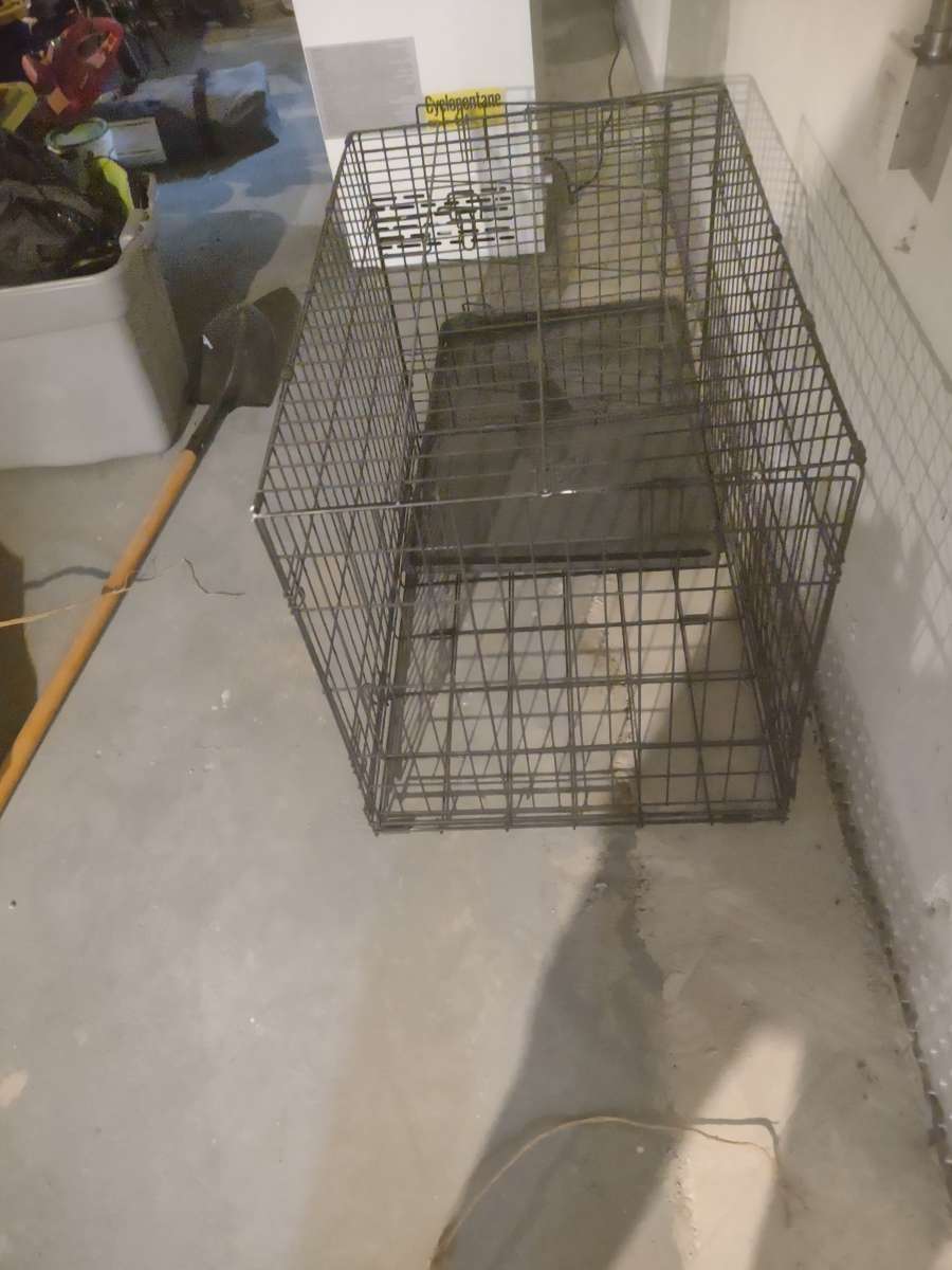 dog cage