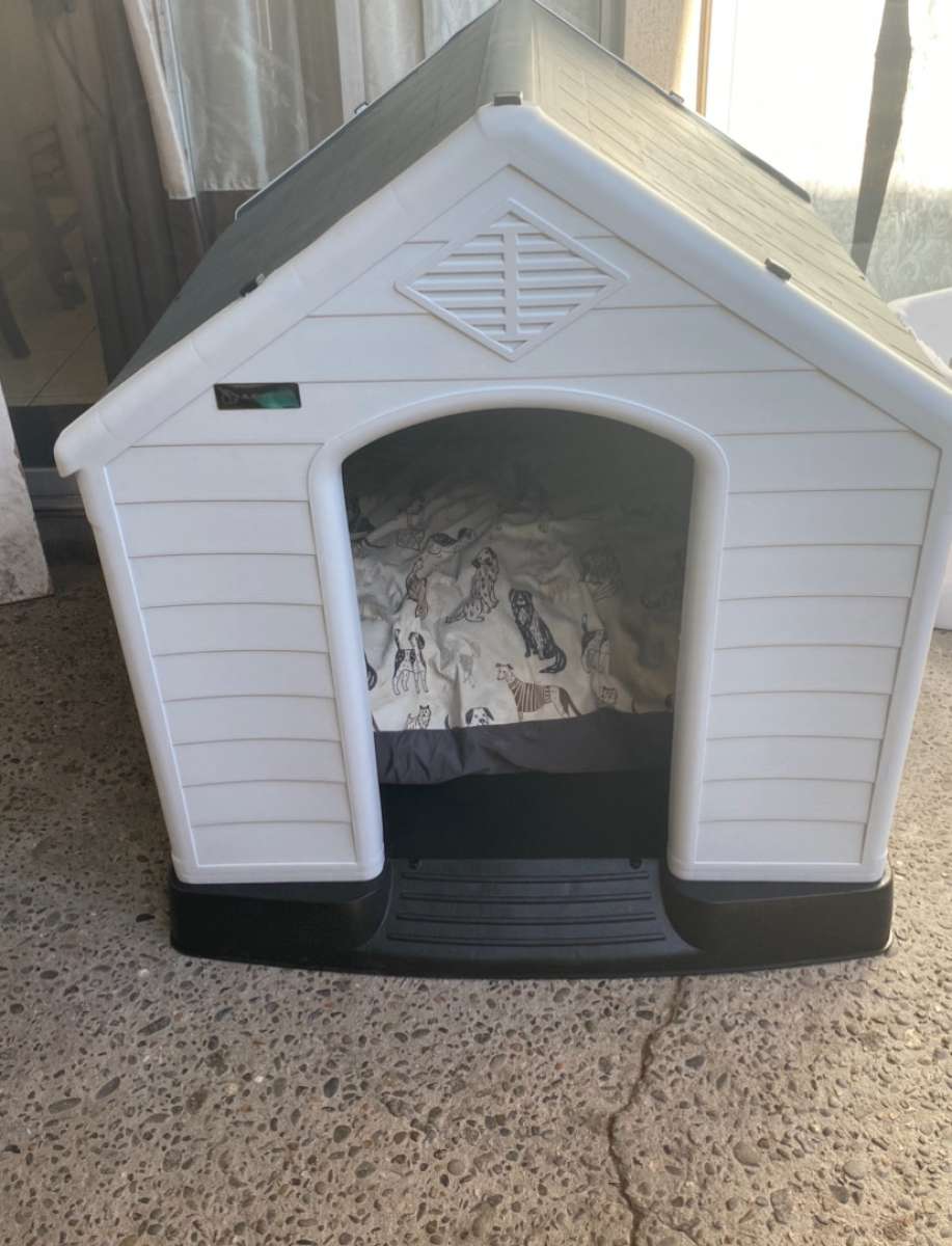 dog house