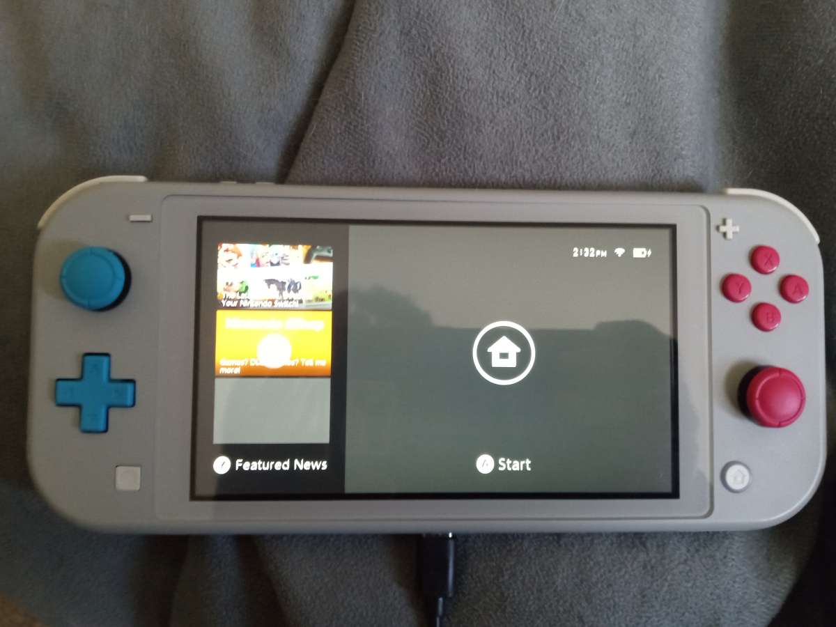 sword and shield Nintendo switch lite