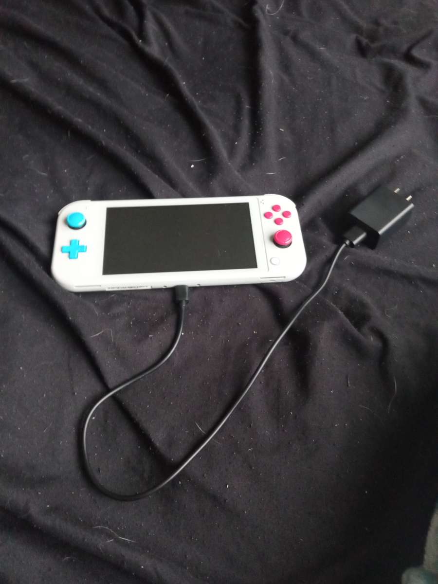 Nintendo switch lite