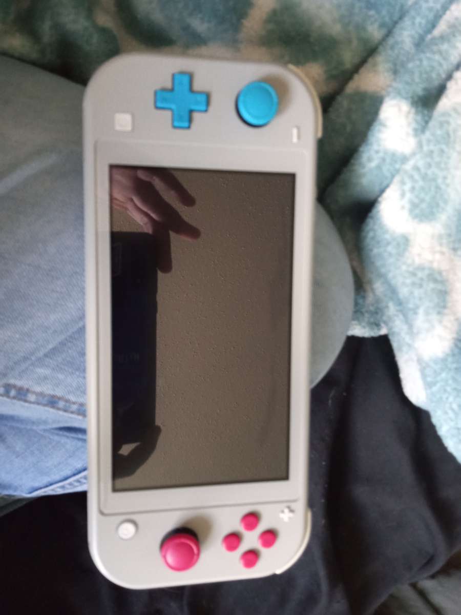 sword and shield Nintendo switch lite