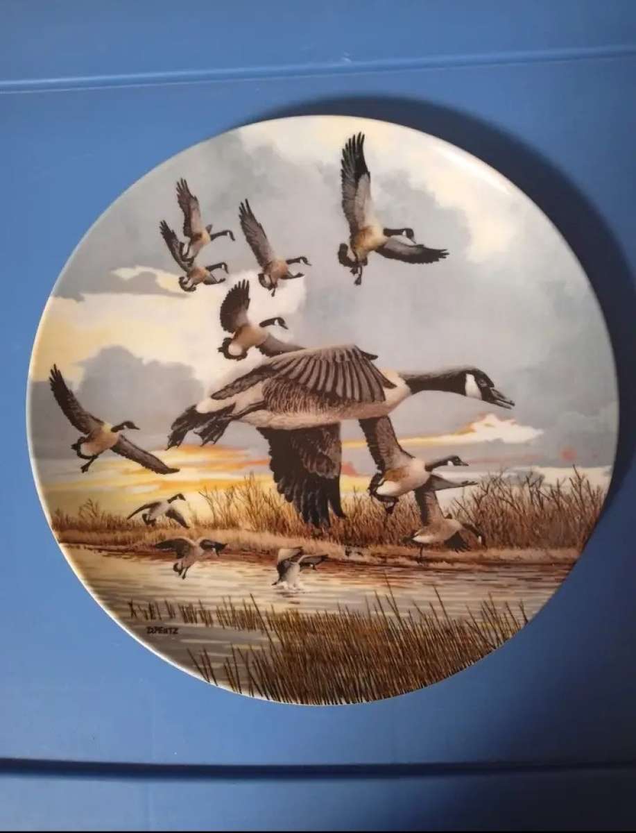 4 Vintage Collectable Plates