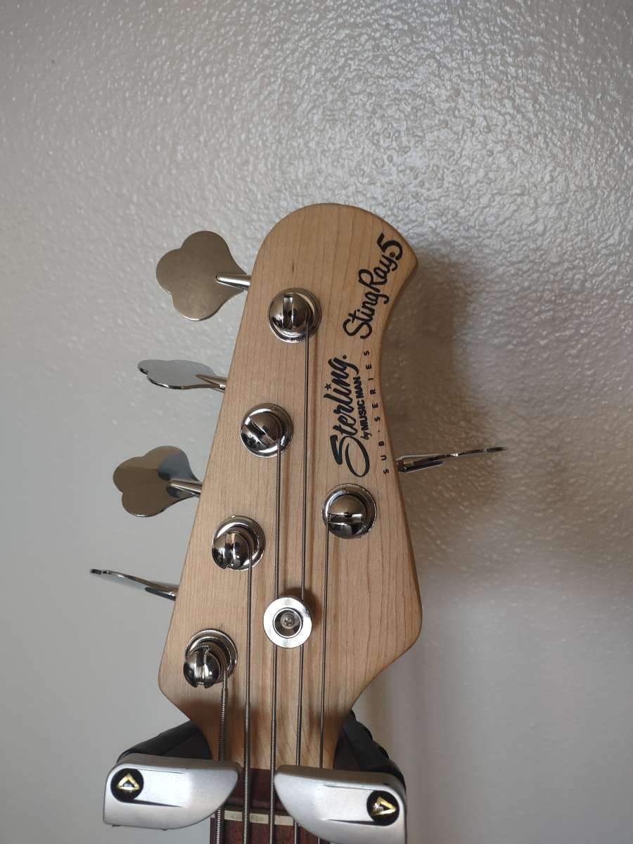 5 string Sterling Bass by Music Man