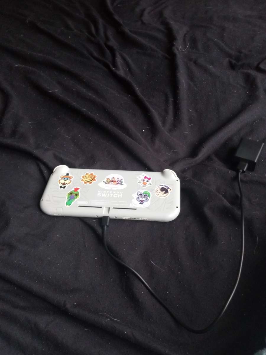 Nintendo switch lite