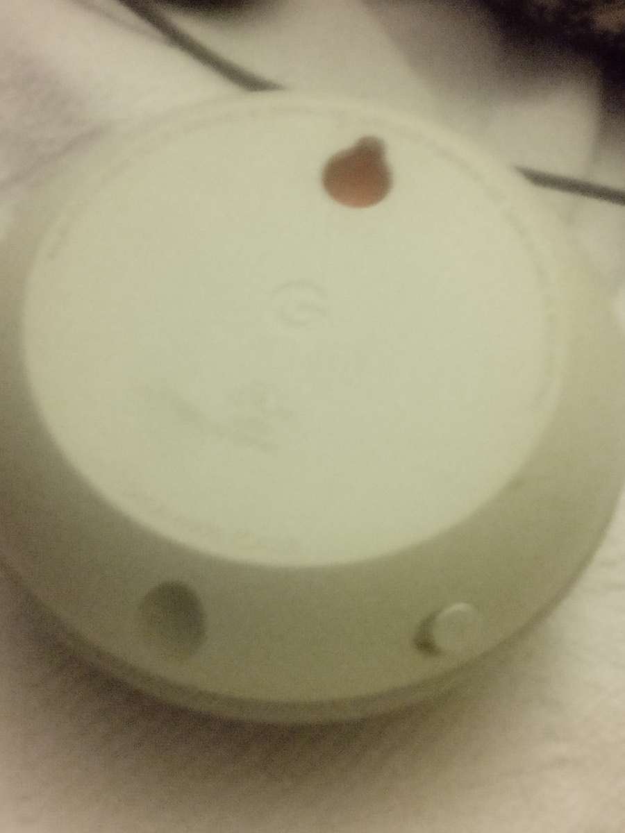 a Google nest Bluetooth speaker
