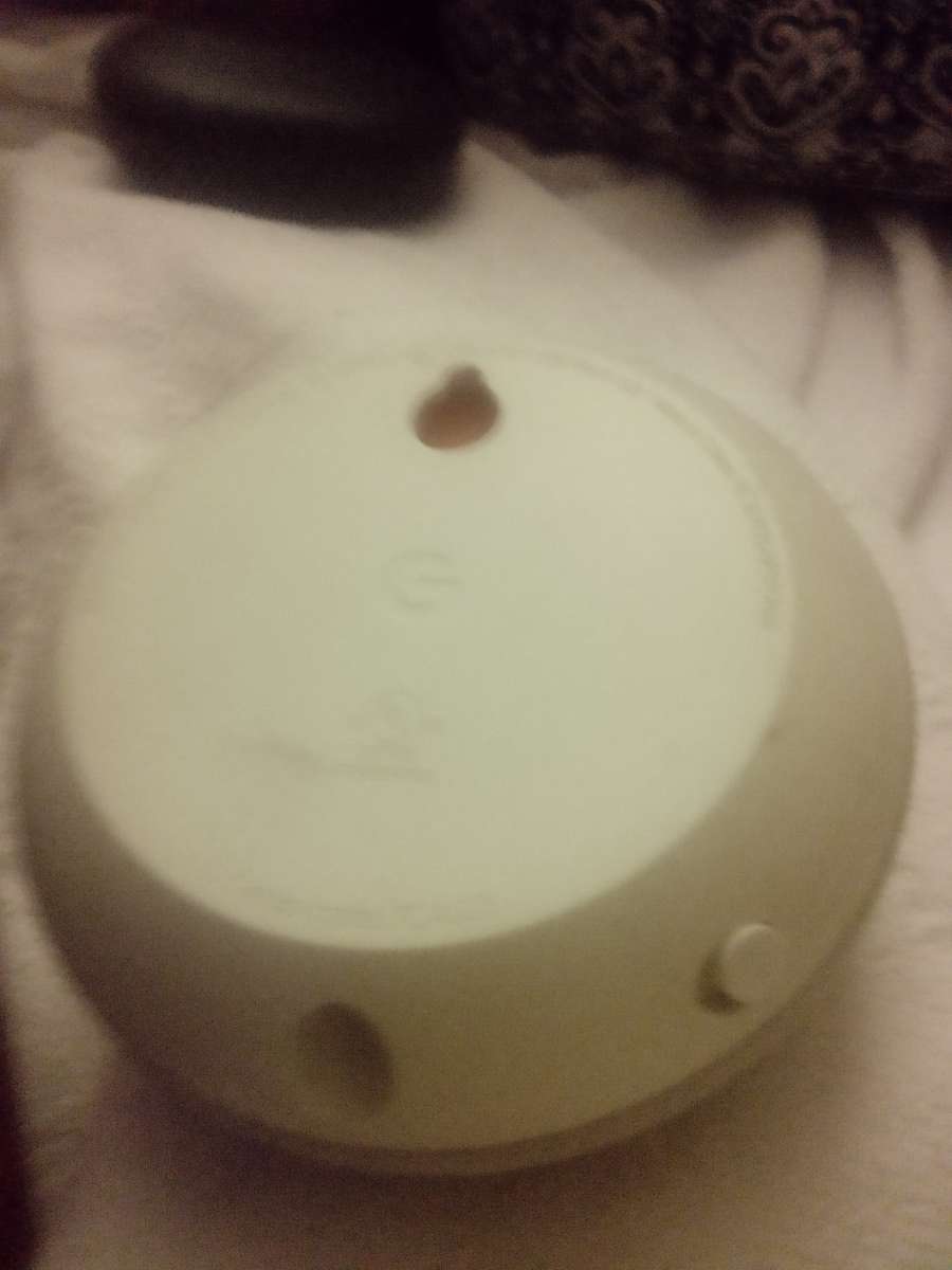 a Google nest Bluetooth speaker