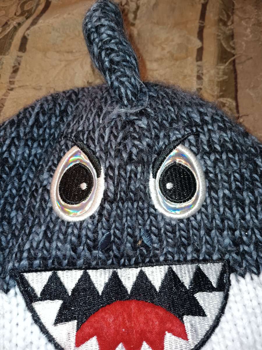 Boys shark beanie       H1