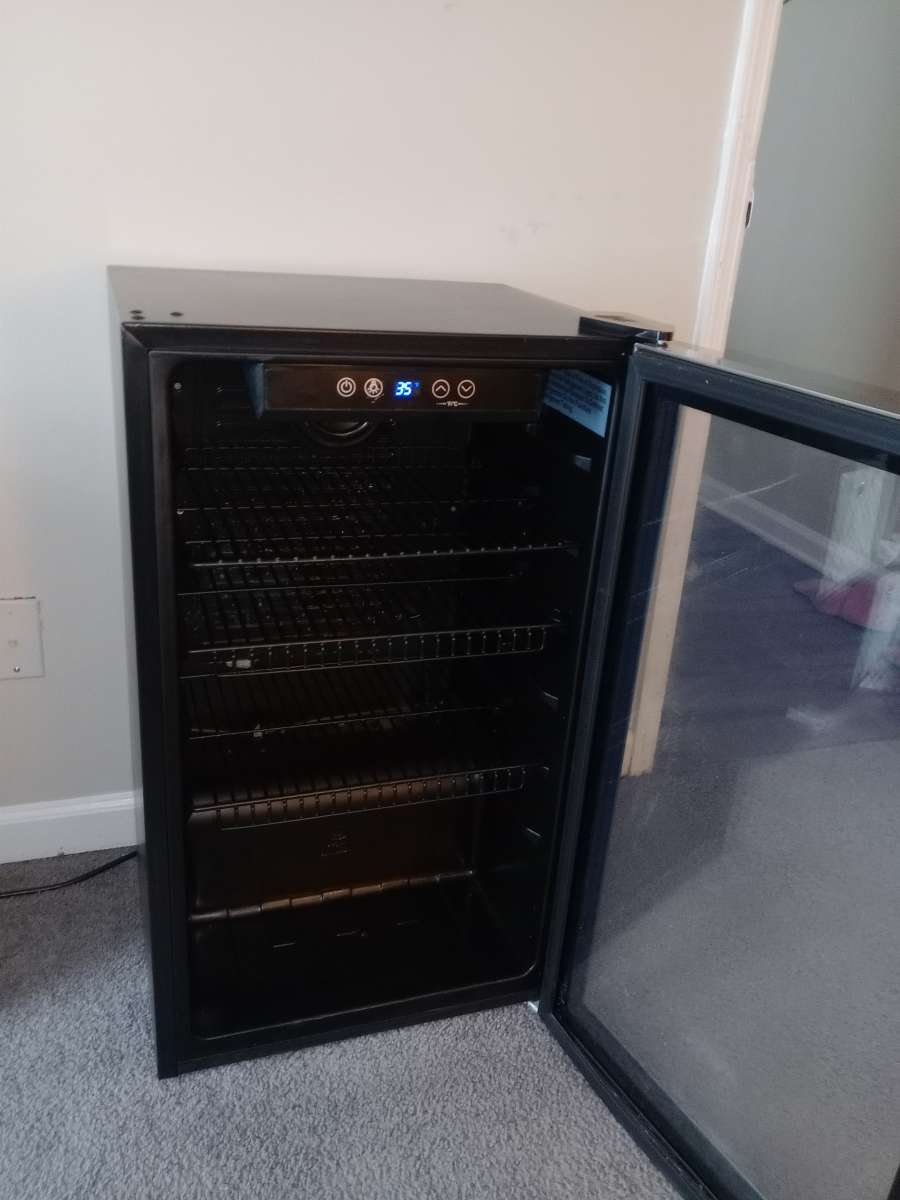 Mini Fridge with Glass Door