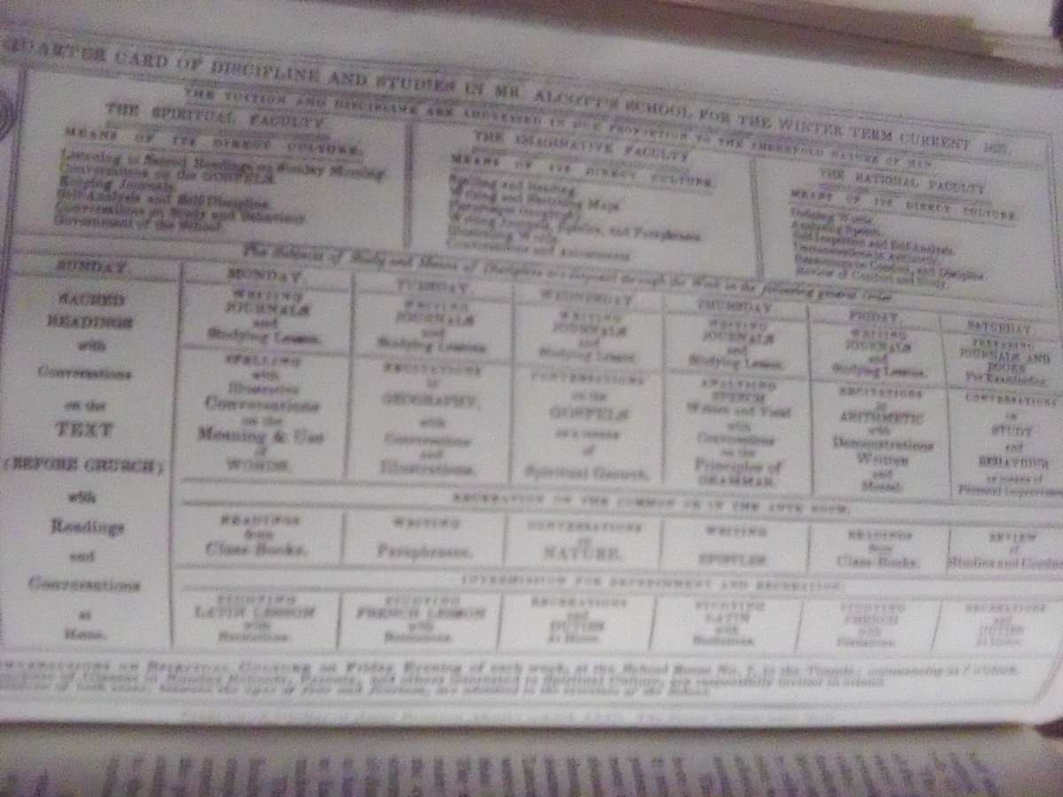 The School in the American Social Order