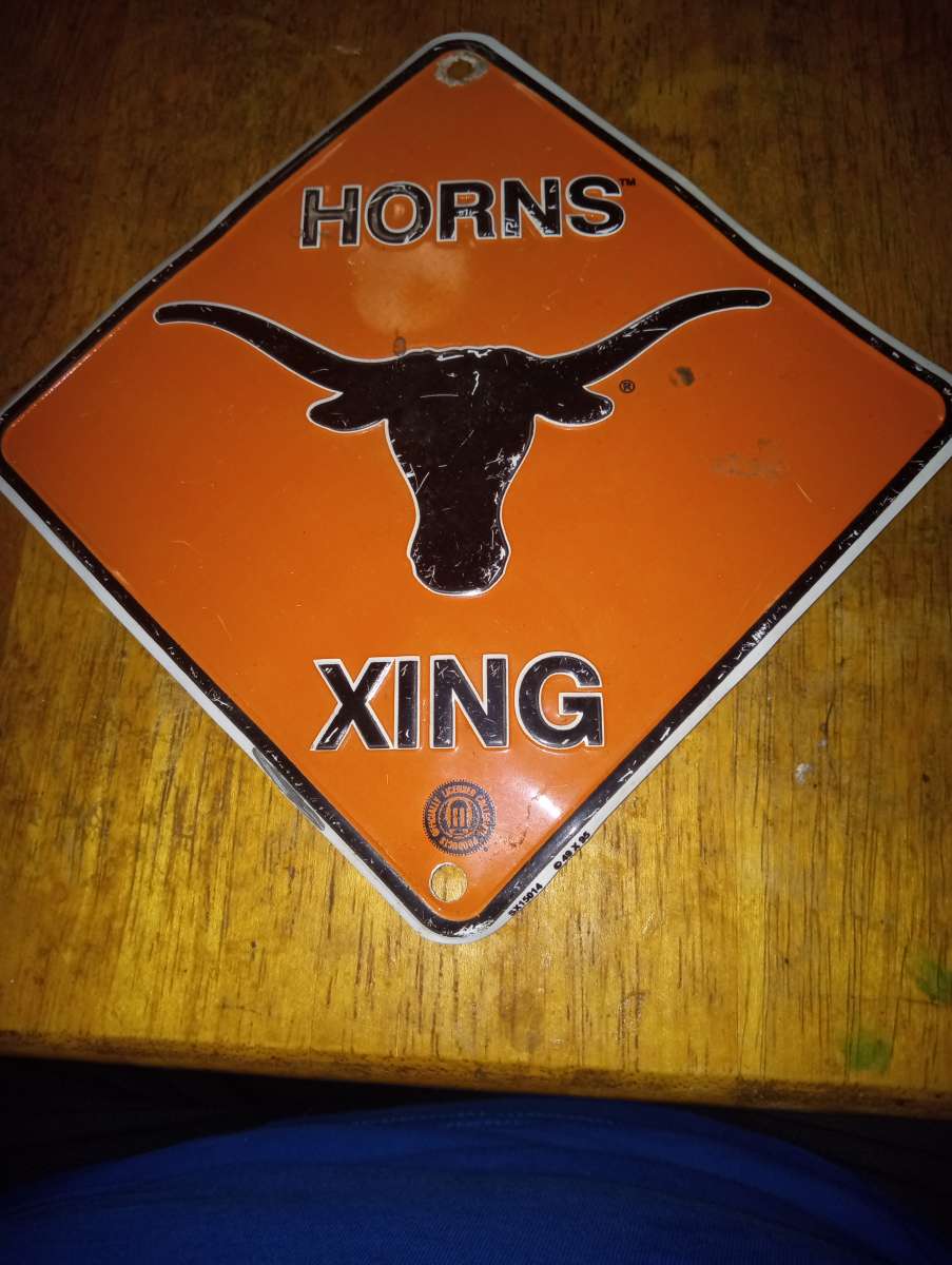Texas Longhorns lot