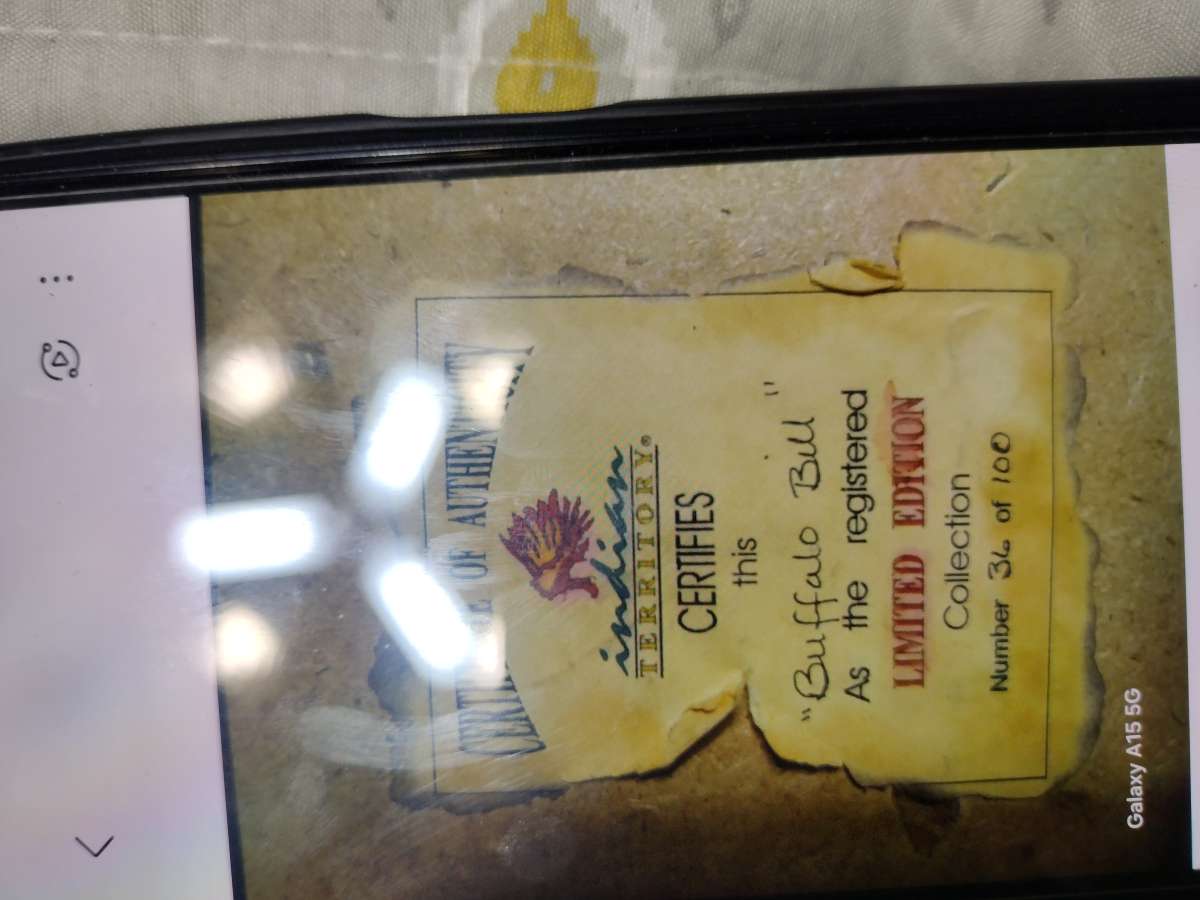 Buffalo Bills Collectors Case