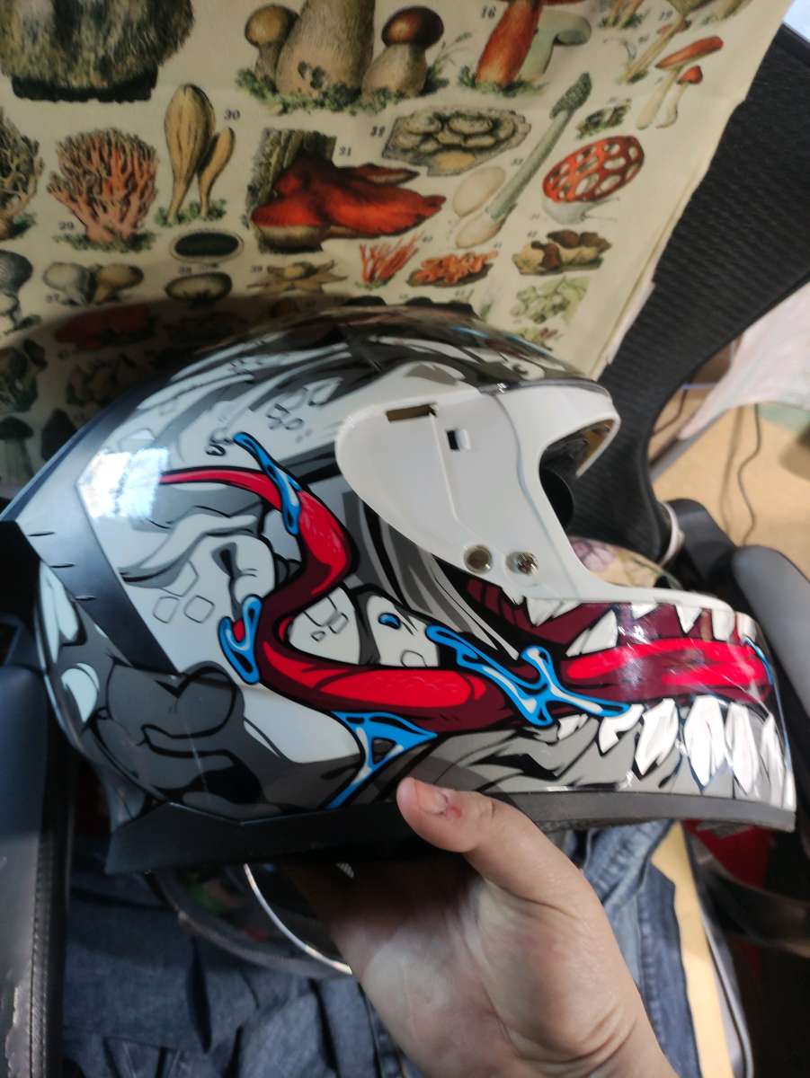 xl motorcycle helmet used