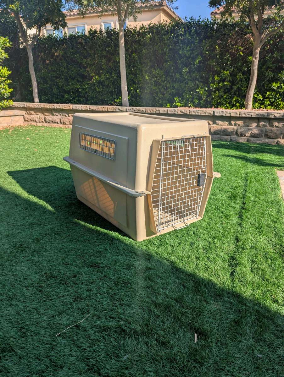 Dog Kennel
