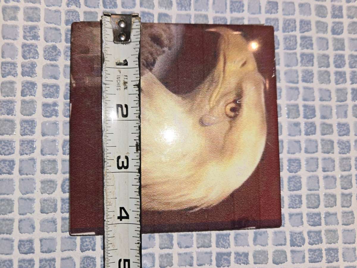 The Bald Eagle 091101 Crying Twin Towers Ceramic Tile