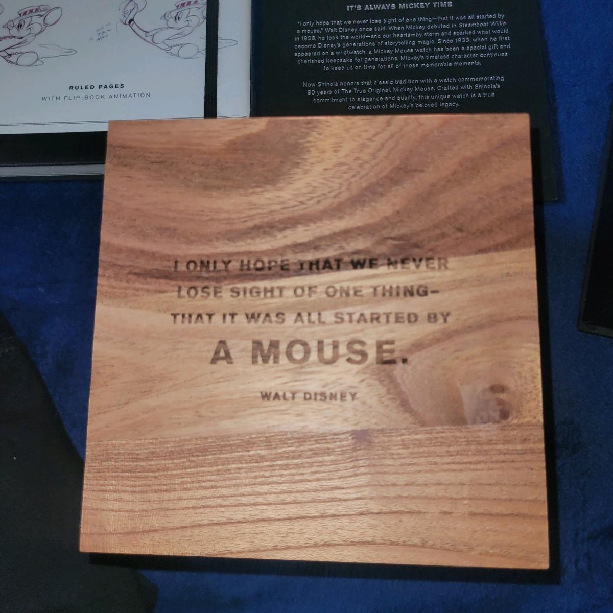 Disney Limited Edition Watch Came From Disney World