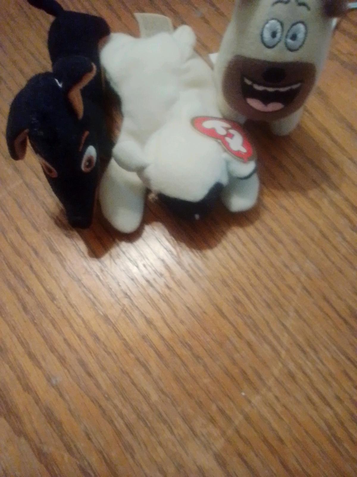 beanie babies