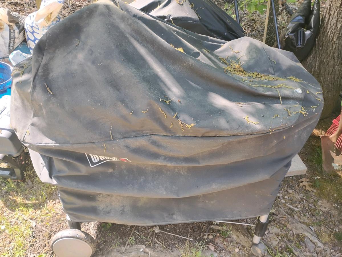 Weber Charcoal Grill