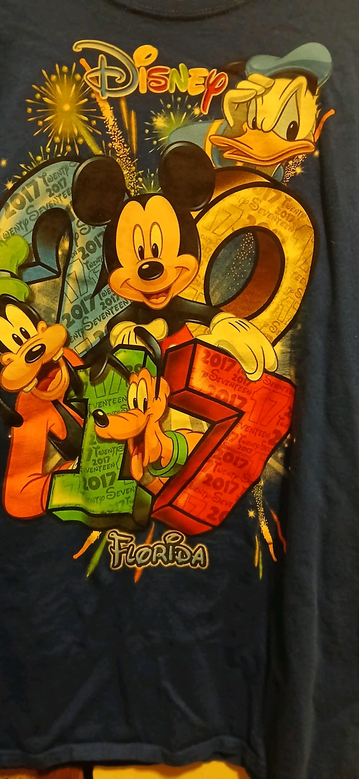 Disney 2017 Florida tshirt