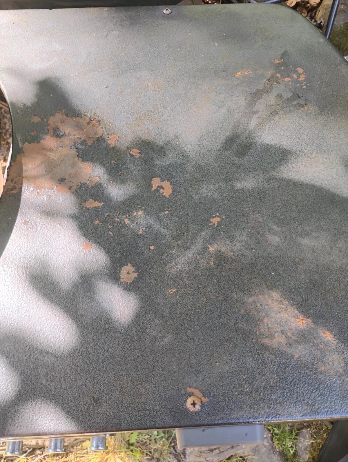 Weber Charcoal Grill