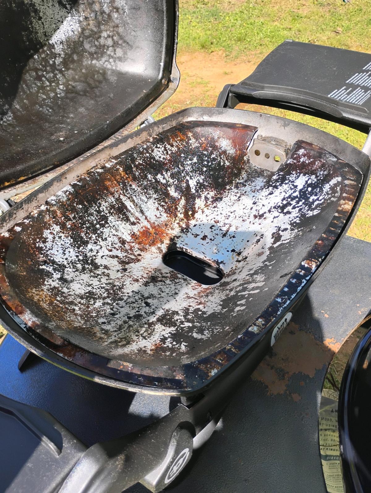 Weber Electric 2400 with cart