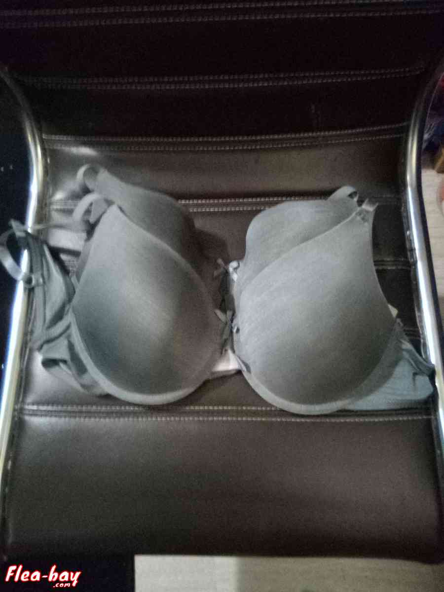 Secret Treasures Intimates bras x2