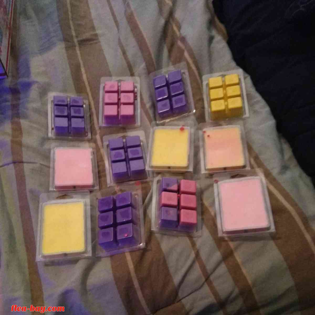 wax shell - Chattanooga, Tennessee - FleaMarketBay