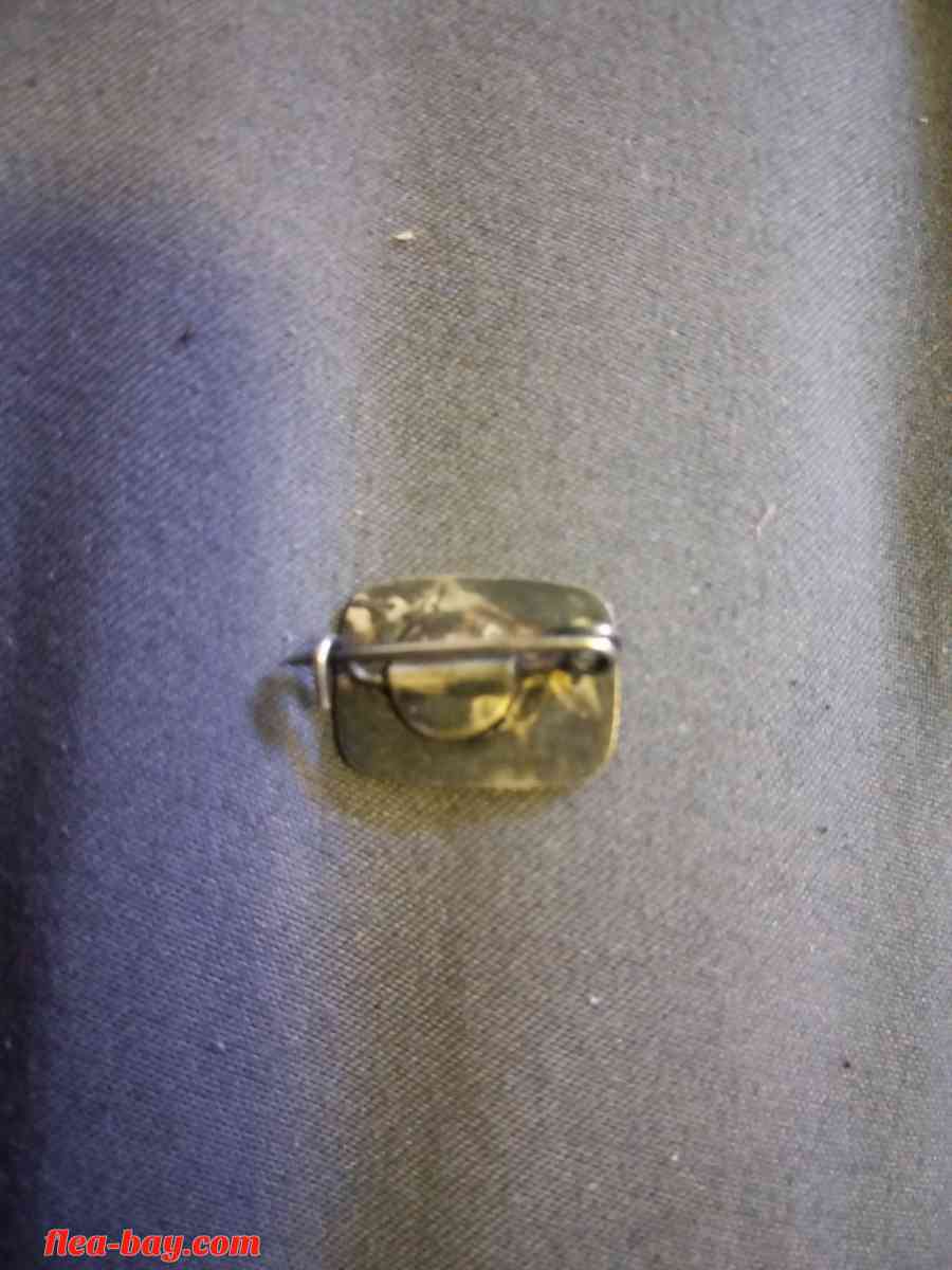 Rare-Antique Wells Fargo medal/coin & Jin stirrups pin - San Francisco, California - FleaMarketBay