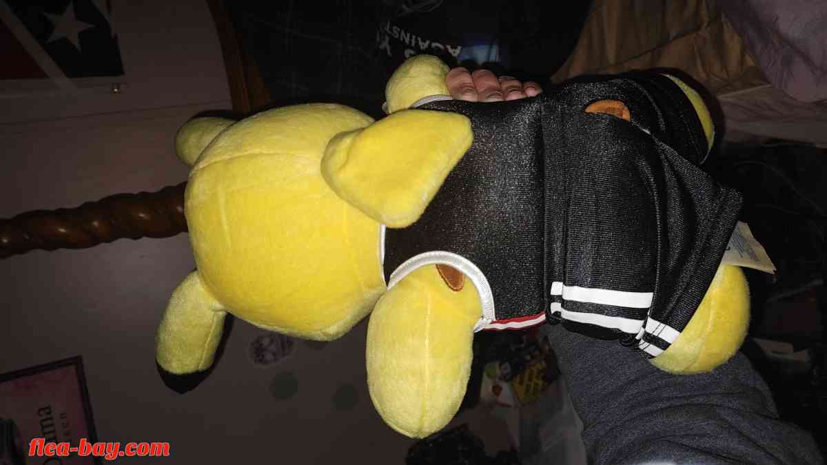 two large Pikachu stuffed dolls with talking voice box in th - Advance, Indiana - FleaMarketBay