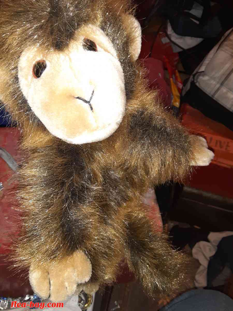 TY beanie babie - San Antonio, Texas