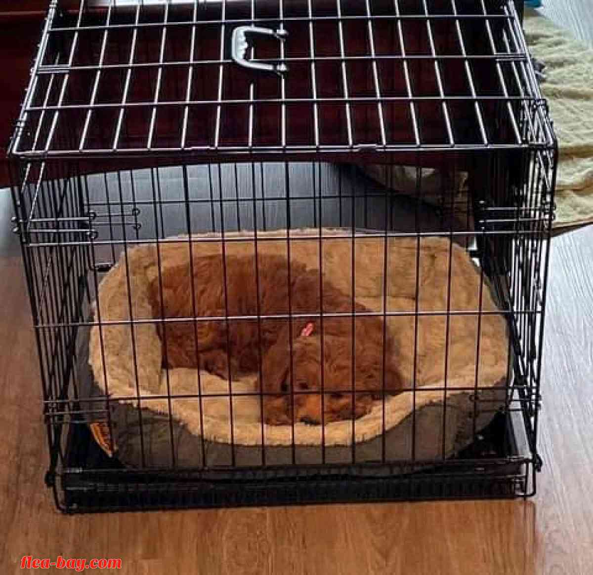 looking for serious buyer - Yoder, Wyoming - FleaMarketBay